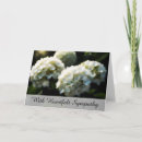 Pesquisar por sentidos cartoes De compaixão