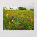 Pesquisar por pincel cartoes postais Flores