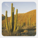 Pesquisar por baja adesivos Paisagem