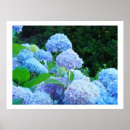 Pesquisar por flores decorativas pósteres pôsteres For her