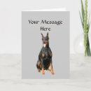 Pesquisar por pinscher cartoes Dobe