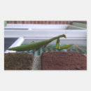 Pesquisar por louva a deus adesivos Mantis