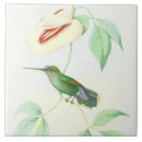 Pesquisar por pássaros em azulejos Vintage