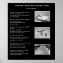 Pesquisar por emily dickinson pósteres pôsteres Poesia