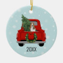 Pesquisar por basset hound ornamentos Animal de estimação