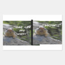 Pesquisar por esquilo engraçado adesivos Esquilos