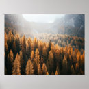 Pesquisar por natureza terra pósteres pôsteres Paisagem