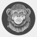 Pesquisar por chimpanzé adesivos Fofo