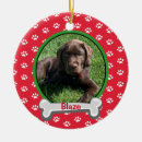 Pesquisar por animal novo ornamentos Dogs