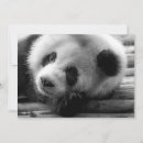 Pesquisar por panda preto e branco cartoes Urso