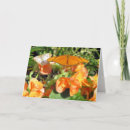 Pesquisar por pavão branco cartoes Natureza