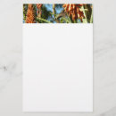 Pesquisar por beija flor papel de carta Vida selvagem