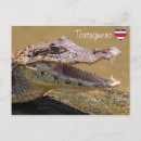 Pesquisar por corcovado cartoes postais Parque nacional