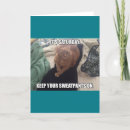 Pesquisar por funny birthday greeting cartoes Cat
