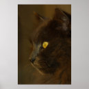 Pesquisar por noruegueses pôsteres Fofo