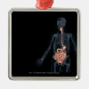 Pesquisar por transparente ornamentos Corpo