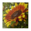 Pesquisar por girassol amarelo azulejos Laranja