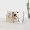 Pesquisar por chefes cartoes Boss