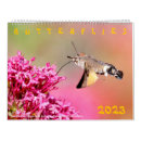 Pesquisar por borboleta calendarios Macro