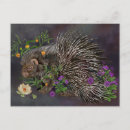 Pesquisar por zoo cartoes postais Flores