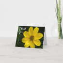 Pesquisar por a flor amarela agradece Qualquer pessoa