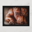 Pesquisar por desenho do cão cartoes postais Amante de estimação