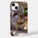 Pesquisar por esquilo iphone capas Doce