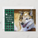 Pesquisar por cachorros bonitos natal cartoes Dogs