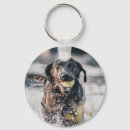 Pesquisar por cão preto de labrador retriever chaveiros Animal