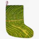 Pesquisar por verde meias de natal Fundo