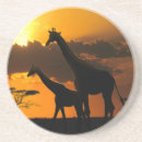 Pesquisar por giraffa porta copos África