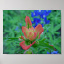Pesquisar por multi região pôsteres Wildflowers