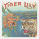 Pesquisar por lírio de tigre Vintage