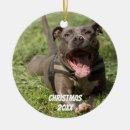 Pesquisar por poço ornamentos Pitbull