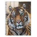 Pesquisar por tiger cadernos de notas Natureza