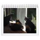 Pesquisar por calendário 2013 Gatos