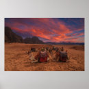Pesquisar por camelos pósteres pôsteres Areia