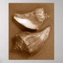 Pesquisar por sensual pôsteres Fotografia