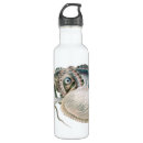 Pesquisar por polvo garrafa agua Lula