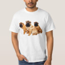 Pesquisar por enrugamento camisetas Bonito