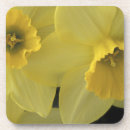 Pesquisar por scott porta copos Scott t smith