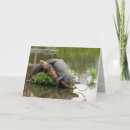 Pesquisar por jacaré cartoes Pântano