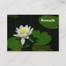 Pesquisar por da filosofia cartao de visita Ioga