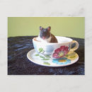 Pesquisar por noahs cartoes postais Animal