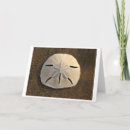 Pesquisar por nota de dólar cartoes Costa