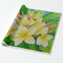 Pesquisar por havaiano papel de presente Plumeria