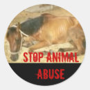 Pesquisar por pare o animal Animais