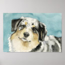 Pesquisar por australiano artes pôsteres Cão