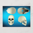 Pesquisar por crânio humano cartoes postais Médico