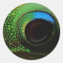 Pesquisar por globo ocular adesivos Olho